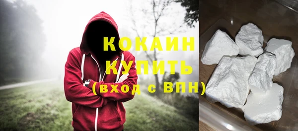 стафф Касимов