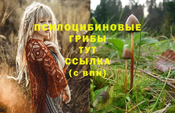 стафф Касимов