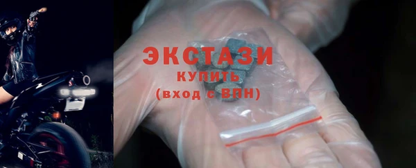 стафф Касимов