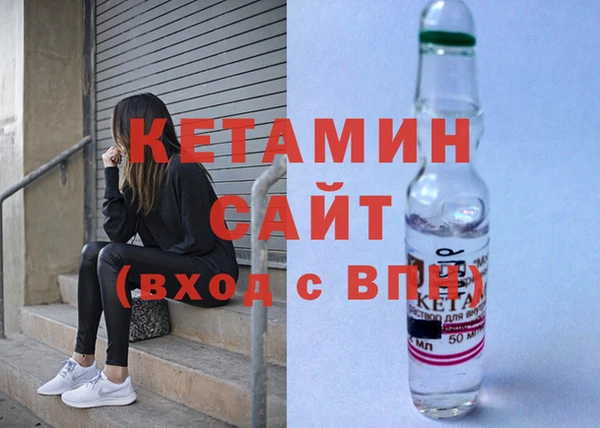 стафф Касимов