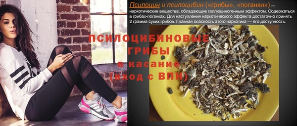 стафф Касимов