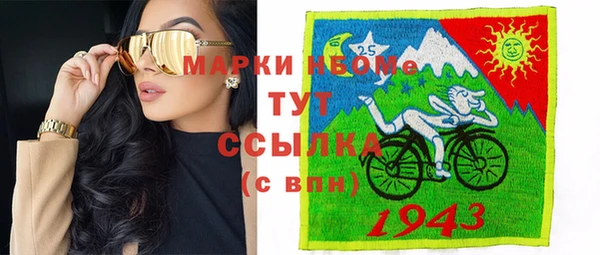 стафф Касимов