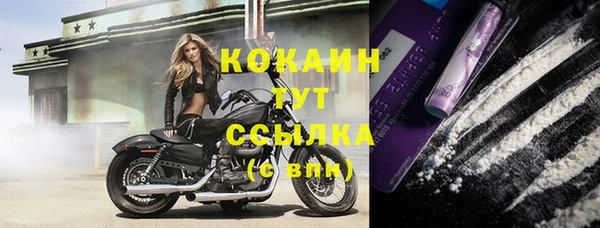 стафф Касимов